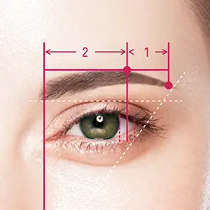 眉の黄金比