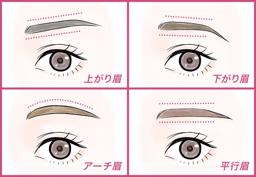 眉の形状