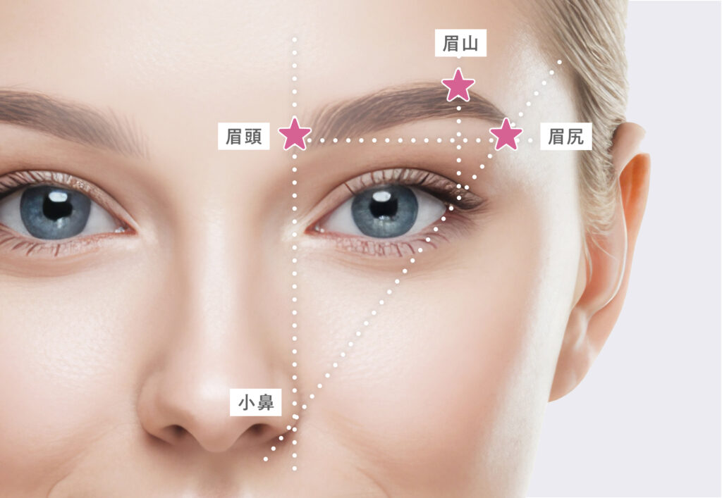 眉頭・眉山・眉尻のマーキング地点