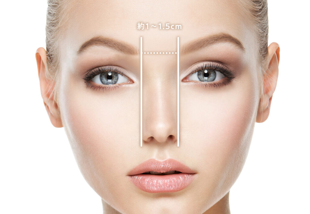 眉間の幅の黄金比の図解