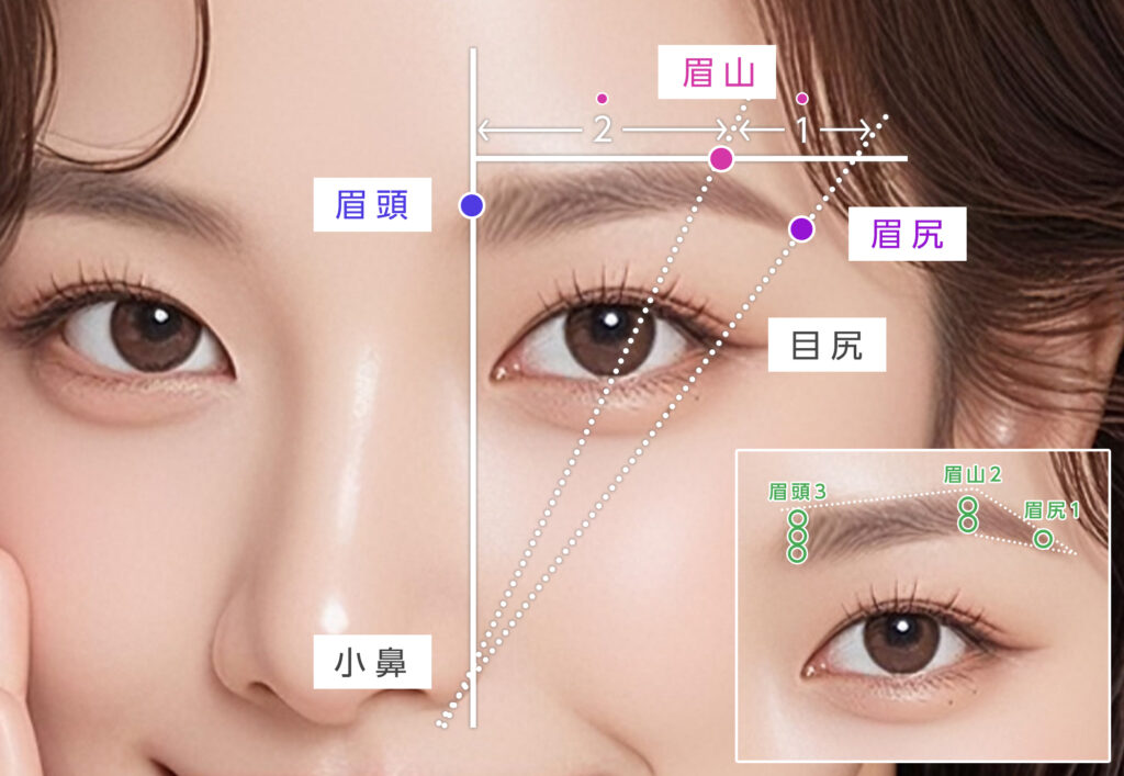 眉毛の黄金比の位置